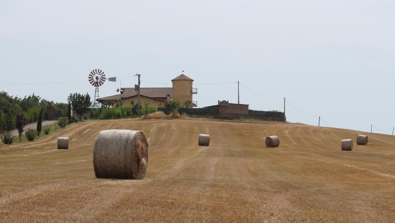 Il Granaio Del Pavone Nepi Exterior foto